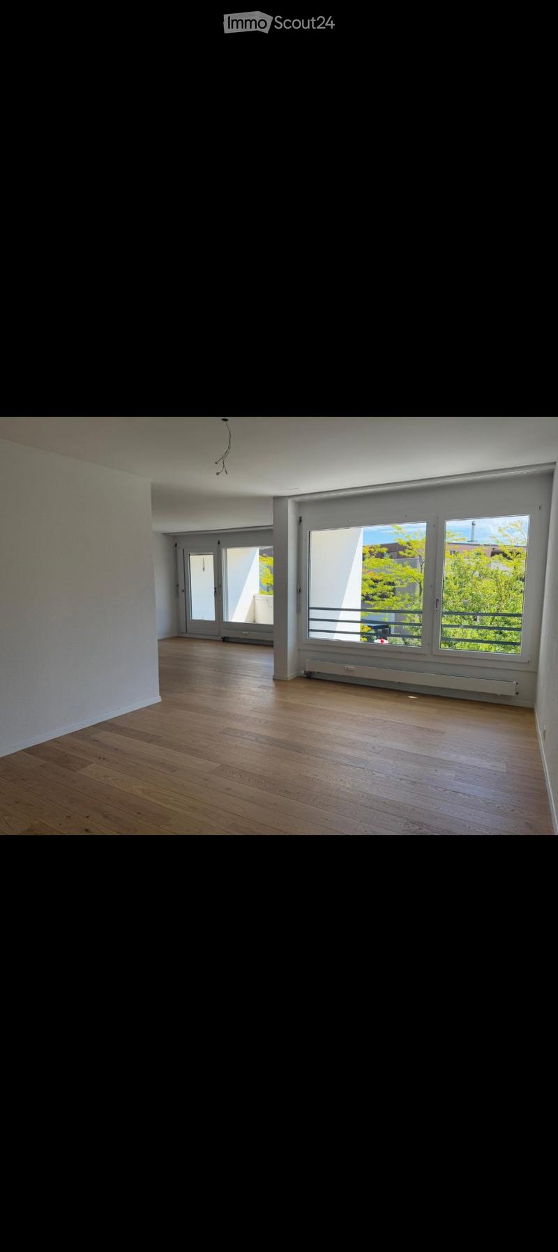 Appartement Fraîchement Rénové Cherche un Sous-Locataire à Partir du 1.8.2026 (1)