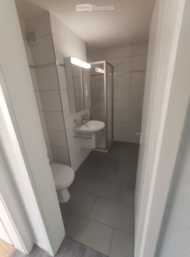 À louer appartement 3 pièces *À partir de maintenant* (5)