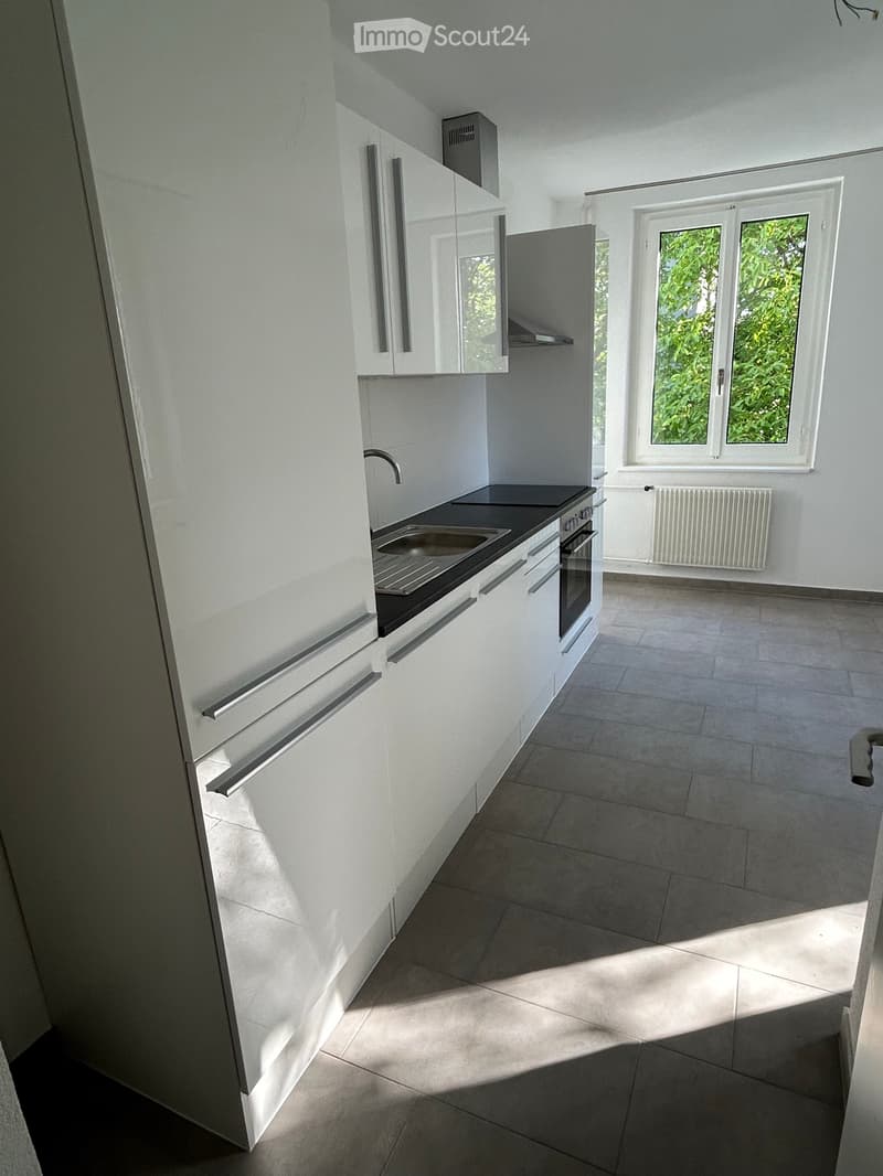 Bright 2.5-room apartment in attractive residential area (1)