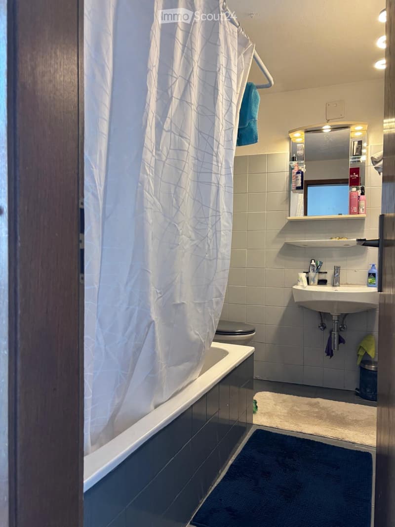 Zweieinhalb-Zimmer-Wohnung zur Miete (5)