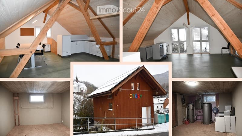 Charming loft with workshop potential (1)