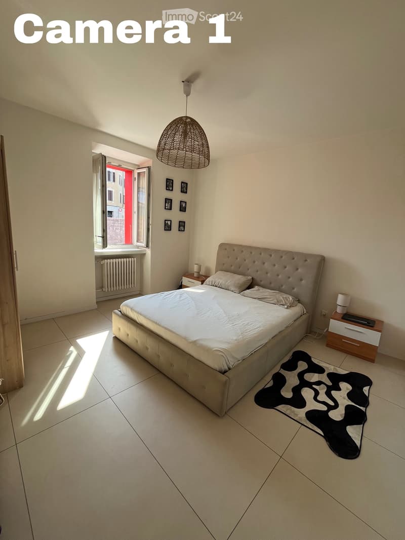 Appartamento Massagno (2)