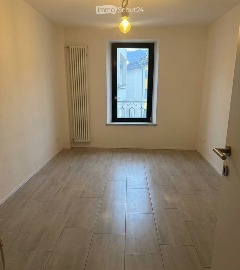 Ampio 4.5 Locali nel Cuore di Bioggio (2)