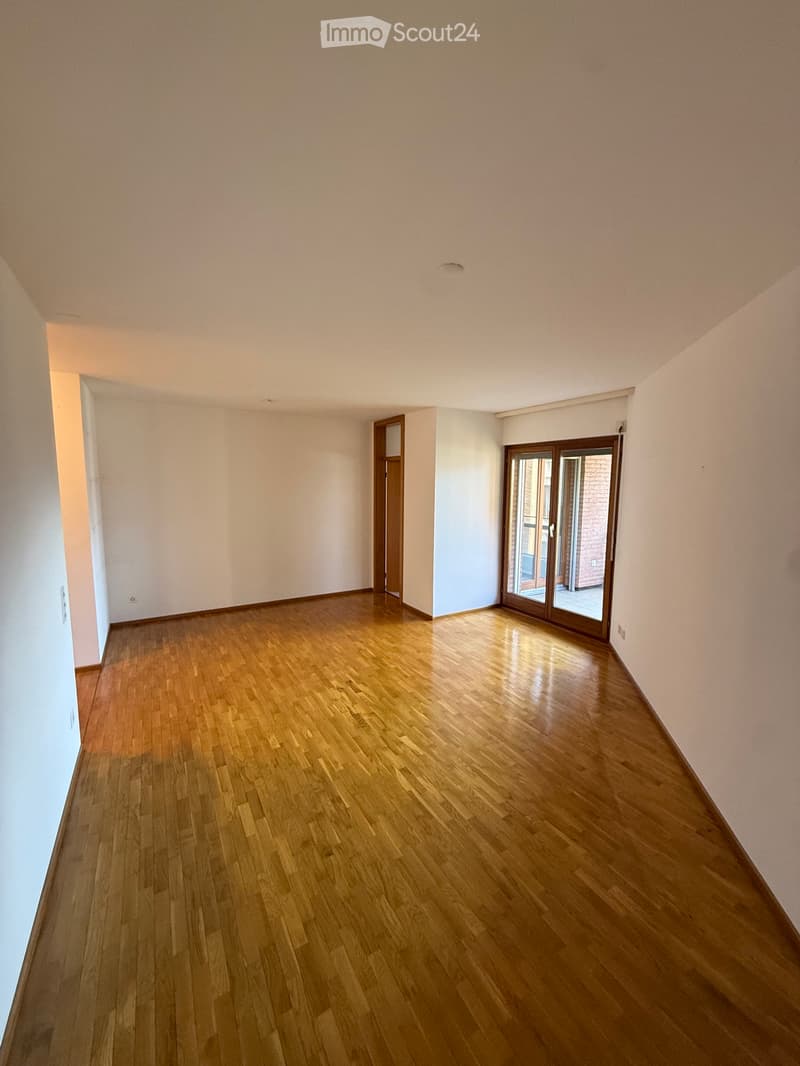 2.5 Locali a Massagno (1)