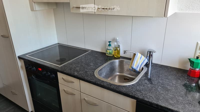 Appartement 4 pièces à louer à Wetzikon (3)