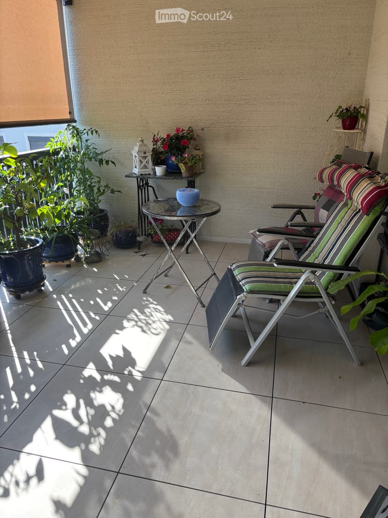 Appartement lumineux et beau à louer à partir du 01.10.2026 (1)