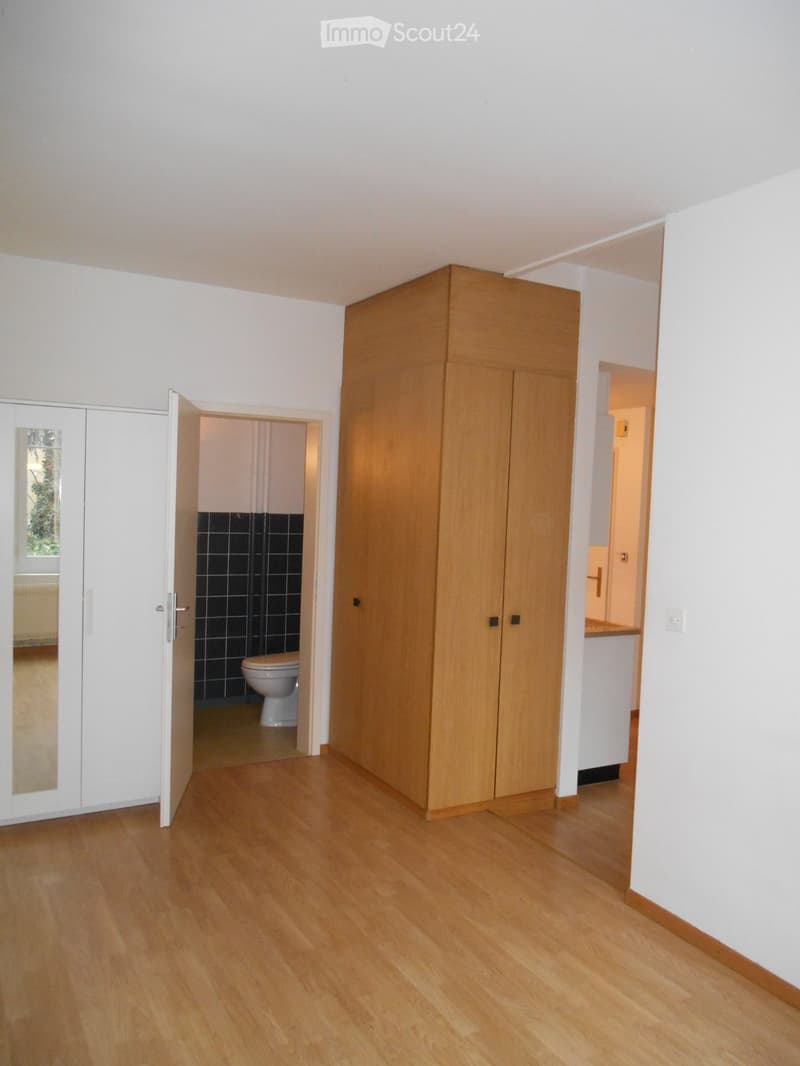 Affitto temporaneo: appartamento 1,5 locali / UNI Bern e Insel (4)