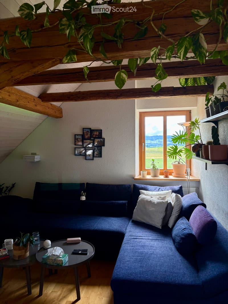 2-room apartment in Wetzikon ZH (2)