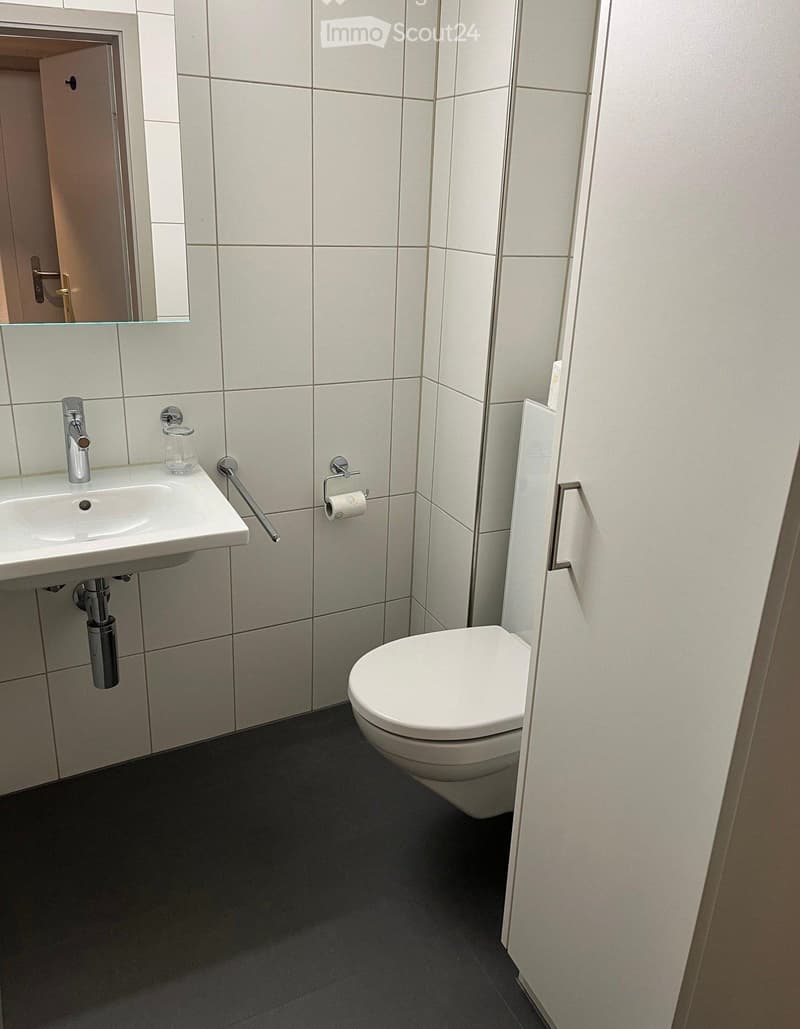 Incantevole appartamento di 2.5 locali a Satigny (3)