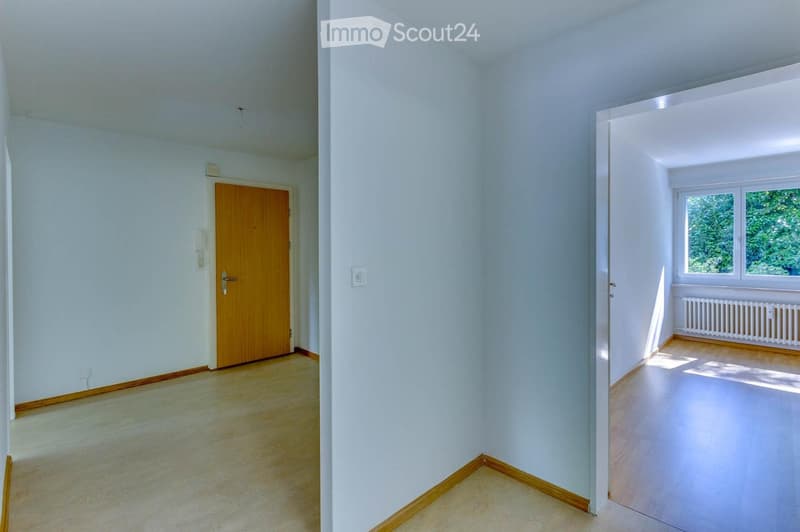 Appartement charmant de 3 pièces avec balcon à Allschwil (5)