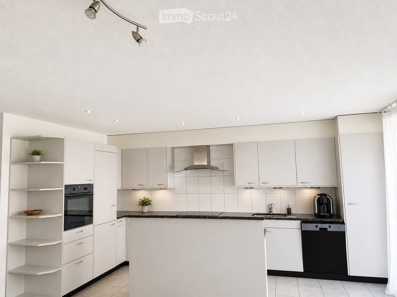 Appartement spacieux 4.5 pièces (3)