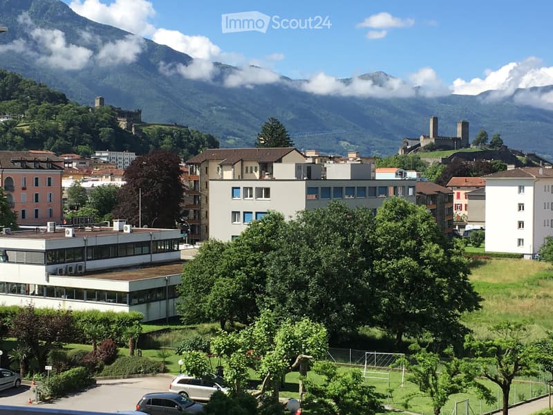 Bellinzona 3 e 1/2 locali (3)
