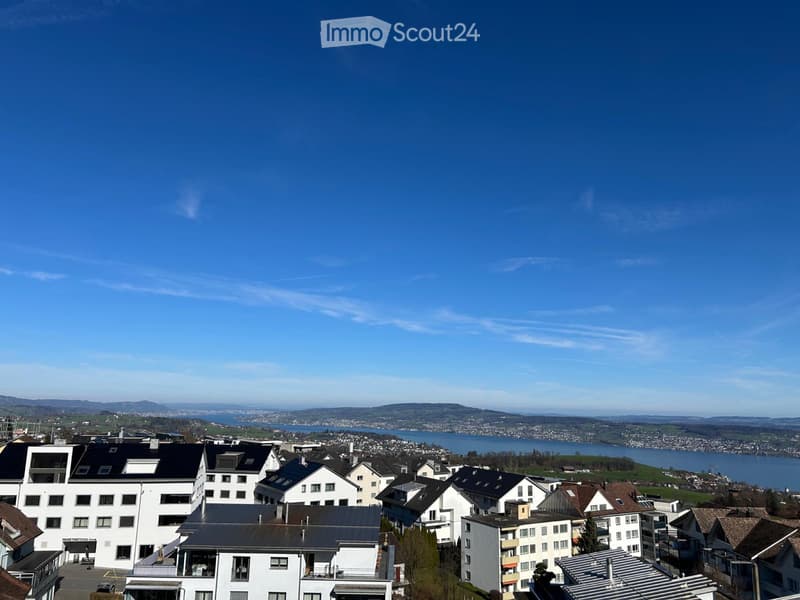 WG-Zimmer in 4,5 Zi-Luxus-Wohnung (1)