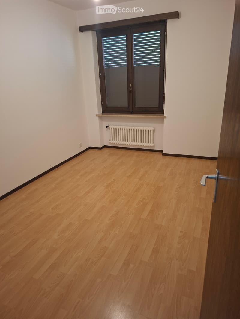 Apartment at the beginning of Tenero hill (3)