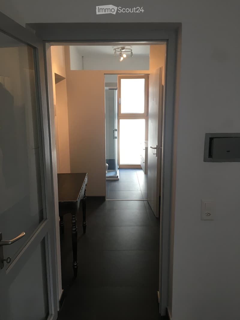 Loue un charmant appartement dans le noyau (3)