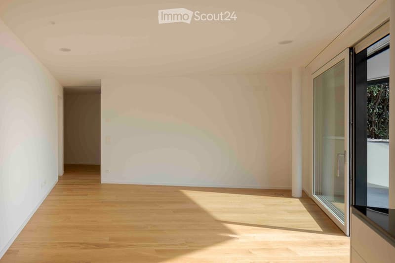 SUBINGRESSO: Splendido e moderno 2.5 / 3 locali con vista (2)