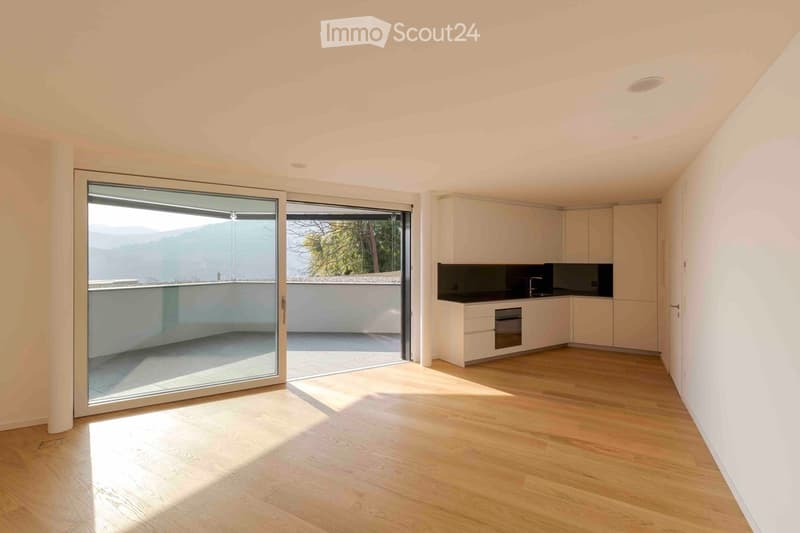SUBINGRESSO: Splendido e moderno 2.5 / 3 locali con vista (1)