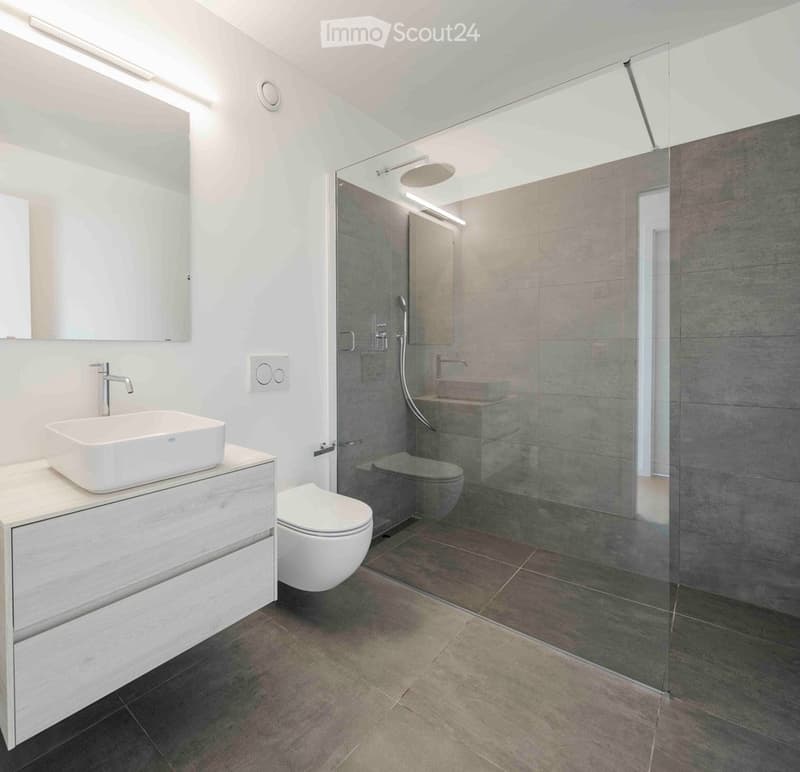 SUBINGRESSO: Splendido e moderno 2.5 / 3 locali con vista (4)