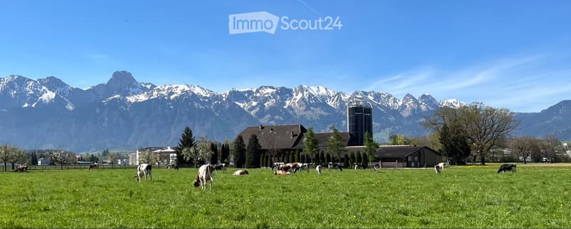 Auf Bauernhof 4.5 Wohnung zu vermieten (1)