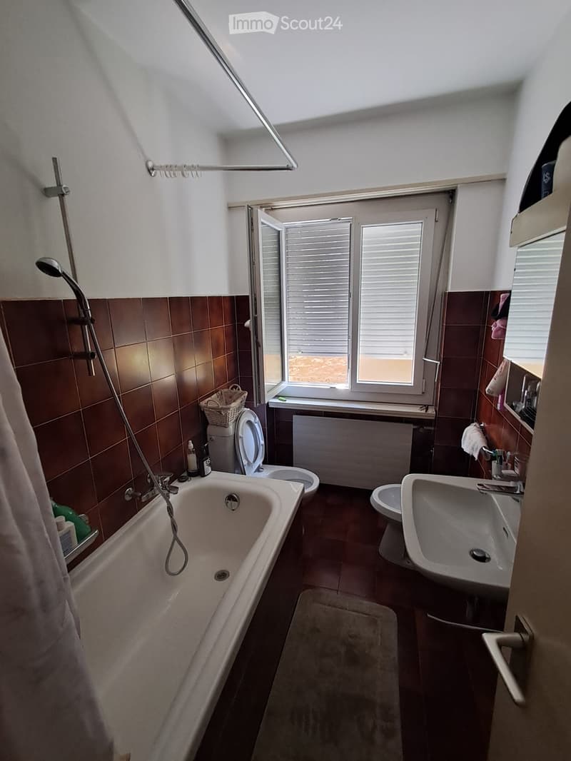 Einziehen in Lugano-Wohnung (2)