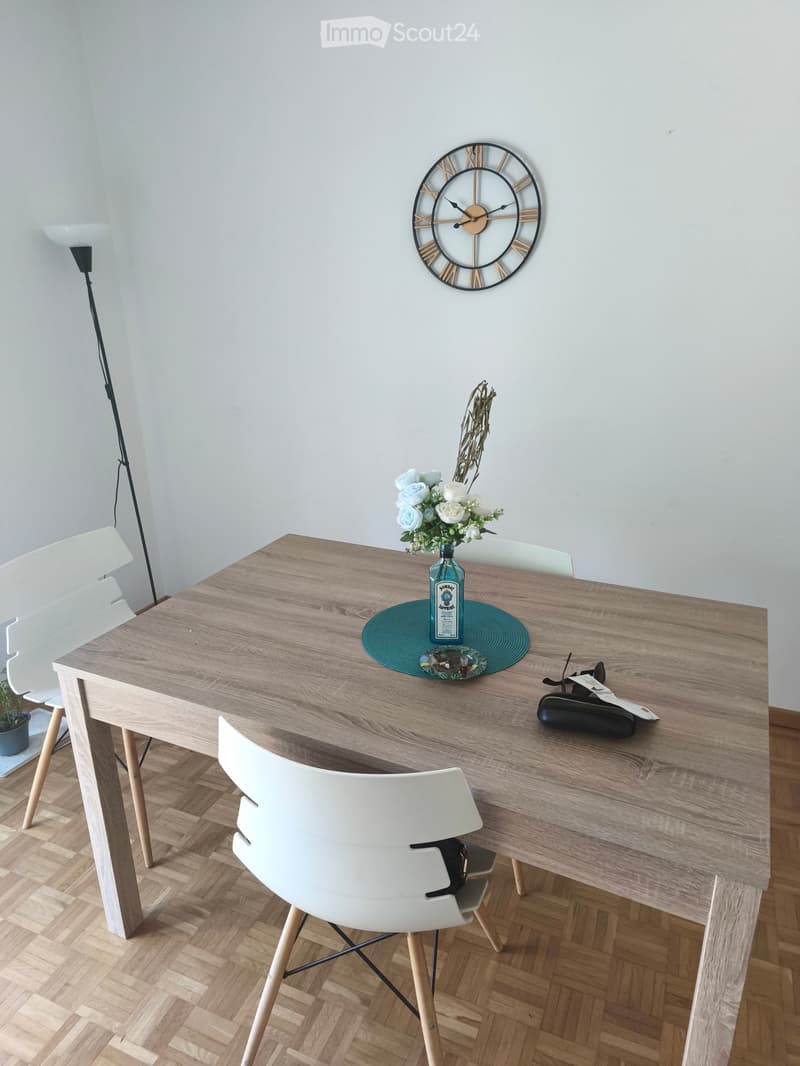 Einziehen in Lugano-Wohnung (4)