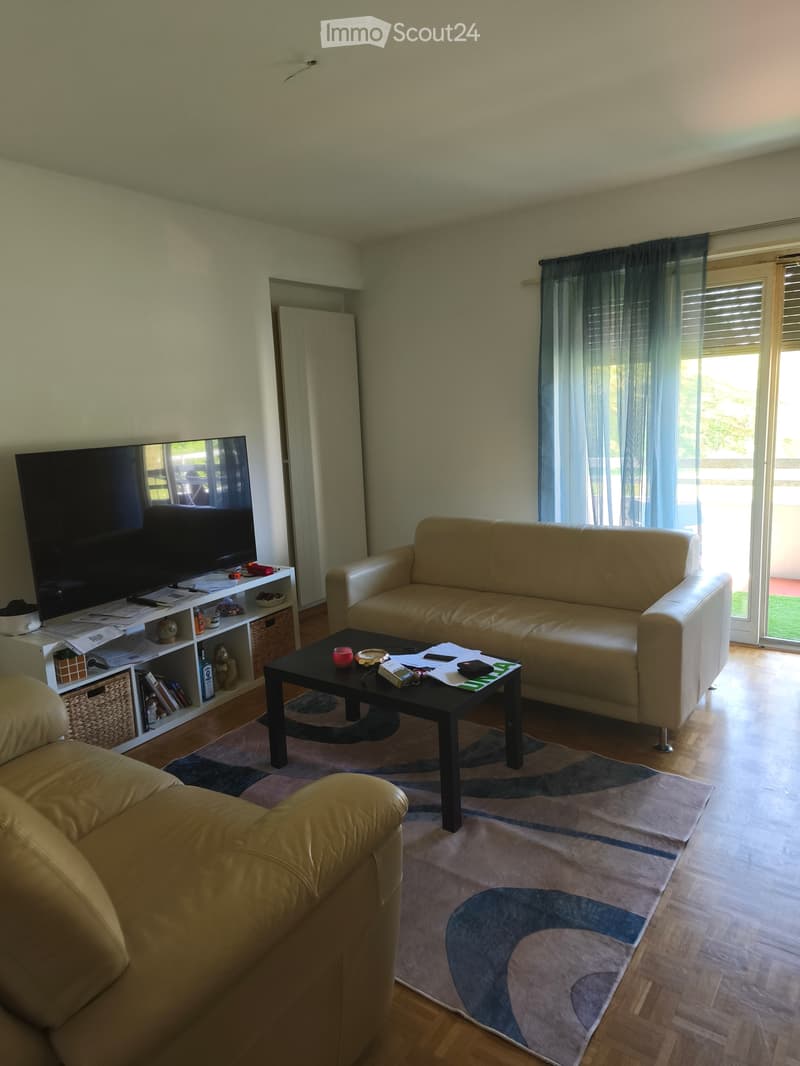 Einziehen in Lugano-Wohnung (5)