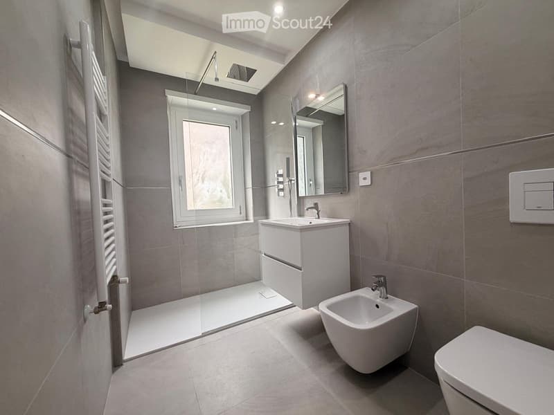 MASSAGNO 3.5 LOCALI CON SPLENDIDO GIARDINO PRIVATO (3)