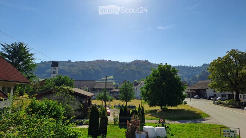 Neu renovierte Wohnung auf dem Land mit grosszügigem Balkon (10)