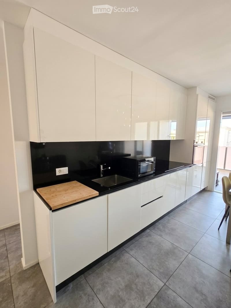 Subentro Attico 3.5 con Terrazza 24mq Bellinzona Centrale (10)