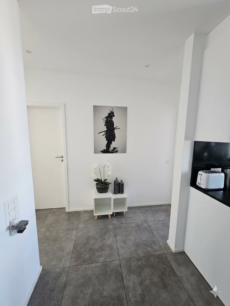Subentro Attico 3.5 con Terrazza 24mq Bellinzona Centrale (11)