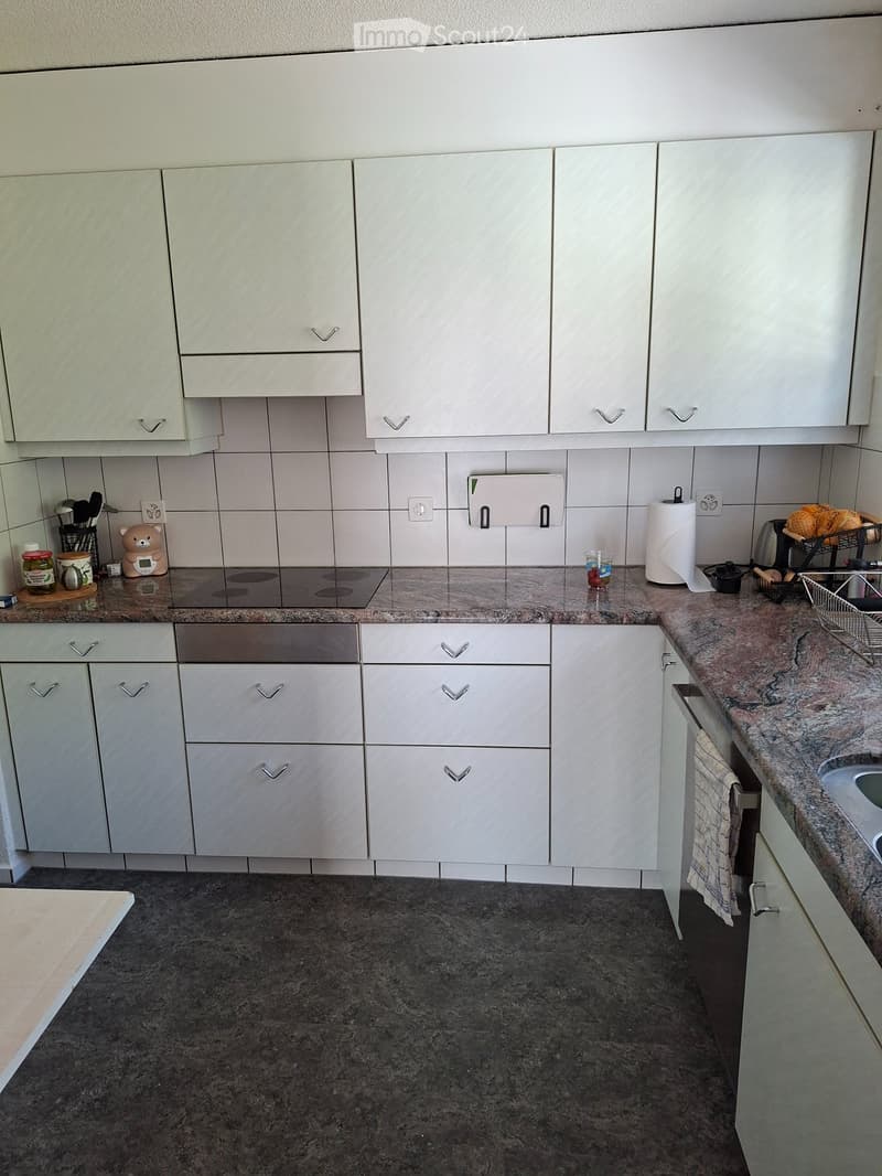 Appartamento di 4 camere in affitto con giardino (1)