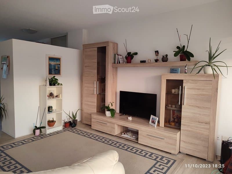 Balerna, 3.5 Zimmer Wohnung mit Hypothek zu verkaufen (2)