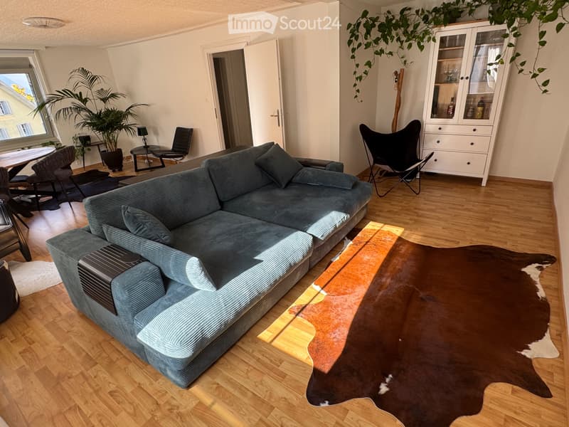 Möblierte Wohnung Brunnen Seeufer (2)