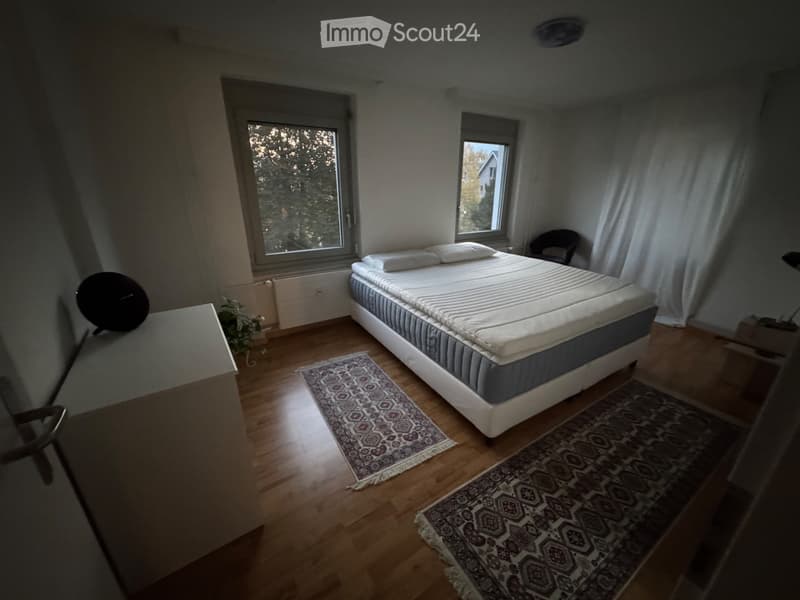 Möblierte Wohnung Brunnen Seeufer (3)