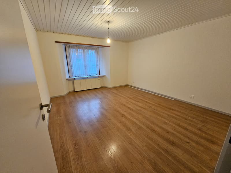Bello appartamento 2.5 locali, parzialmente ristrutturato (2)