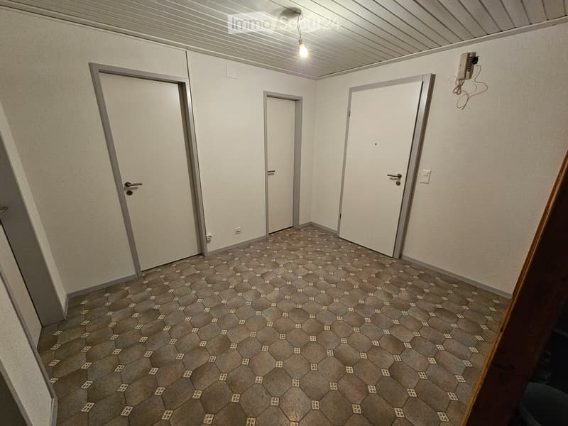 Bello appartamento 2.5 locali, parzialmente ristrutturato (4)