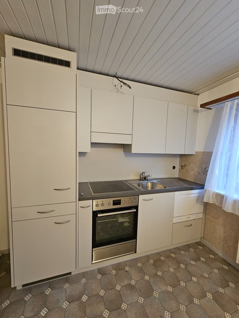 Bello appartamento 2.5 locali, parzialmente ristrutturato (3)