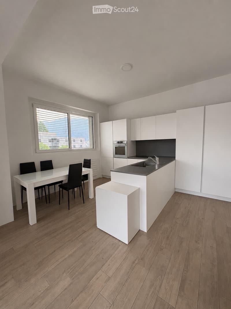 CUREGLIA, Moderno appartamento 2.5 locali, ampio balcone (2)