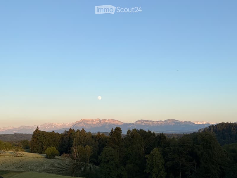 Disponibile temporaneamente: appartamento arredato di 4,5 locali a Ohmstal con vista sulla montagna (5)