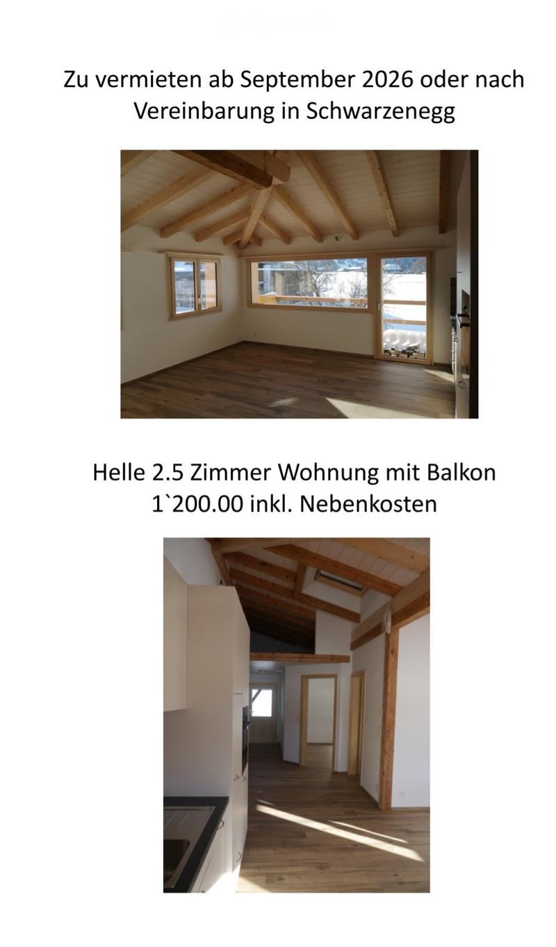 Helle 2.5 Zimmer Wohnung mit Balkon (5)