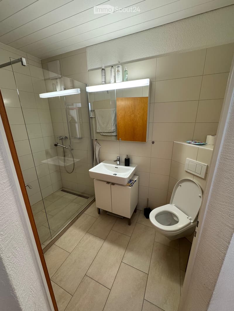 Helle 3.5 Zimmer Altbauwohnung in Gelterkinden (per Oktober) (3)