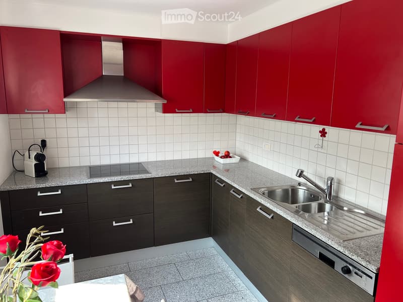 Appartement 4,5 pièces à Castione (5)