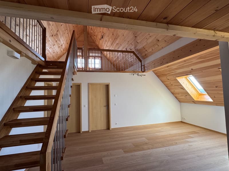 Primo affitto: bello appartamento di 5,5 locali mansardato con galleria (1)