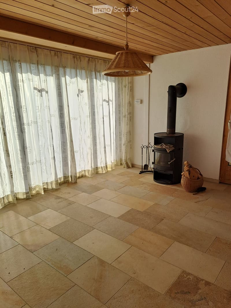 Ottimo appartamento di 4 locali con serra, giardino e garage (4)