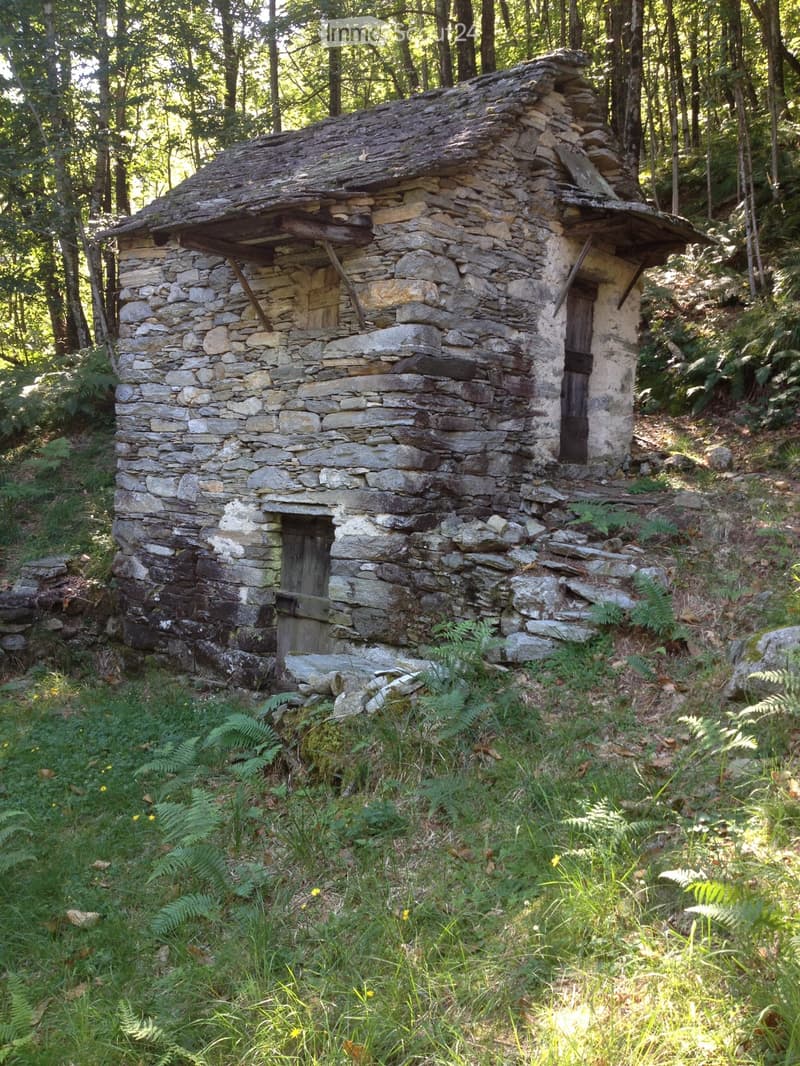 Écurie + ferme et canvetto séparé (5)