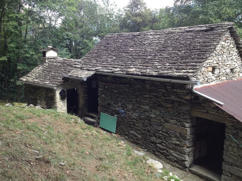 Écurie + ferme et canvetto séparé (2)