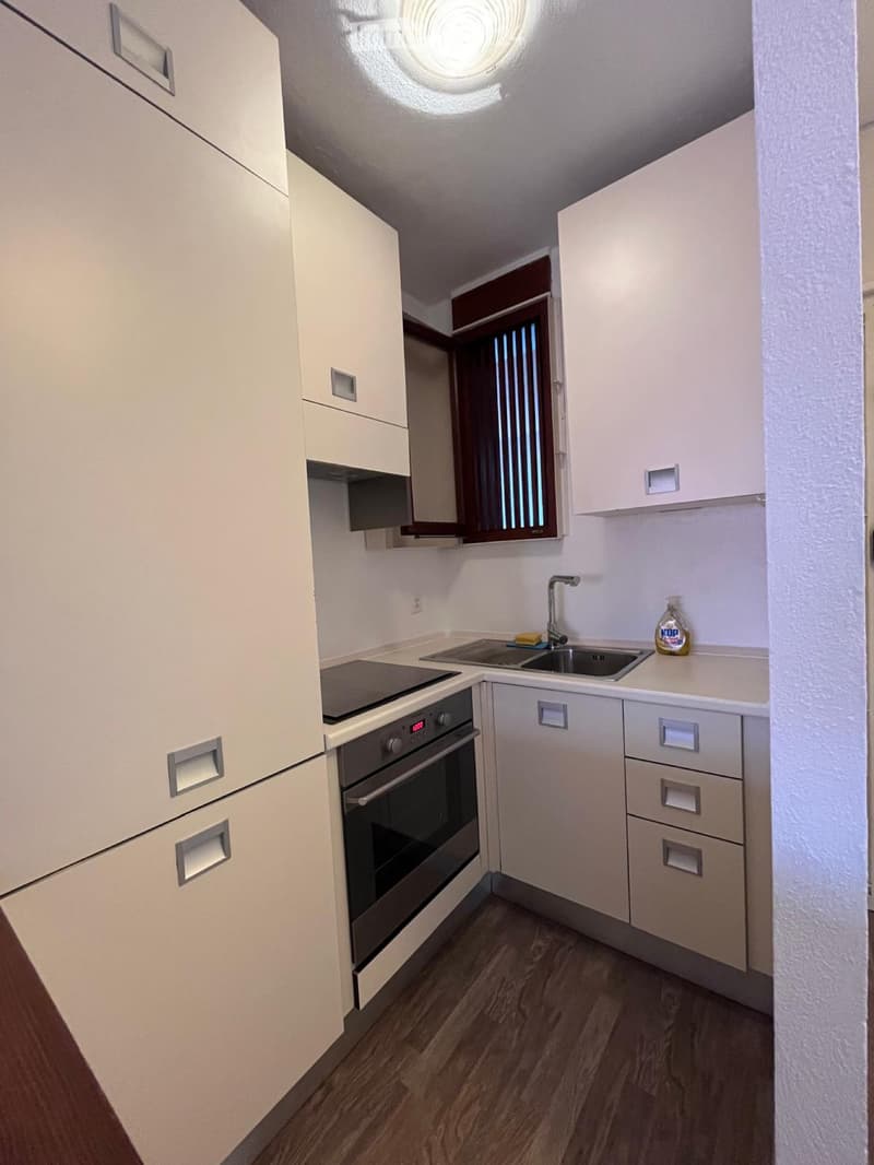 Appartement spacieux avec vue sur le lac, parking et cave (4)