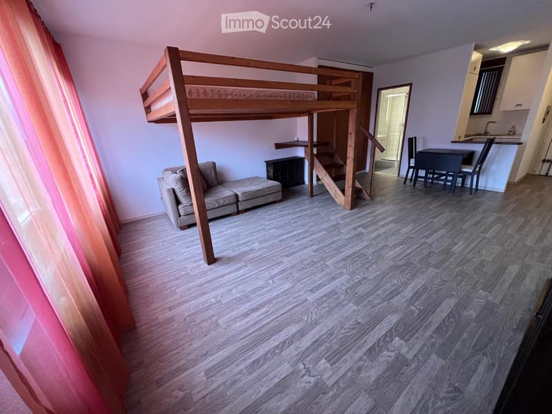 Appartement spacieux avec vue sur le lac, parking et cave (2)