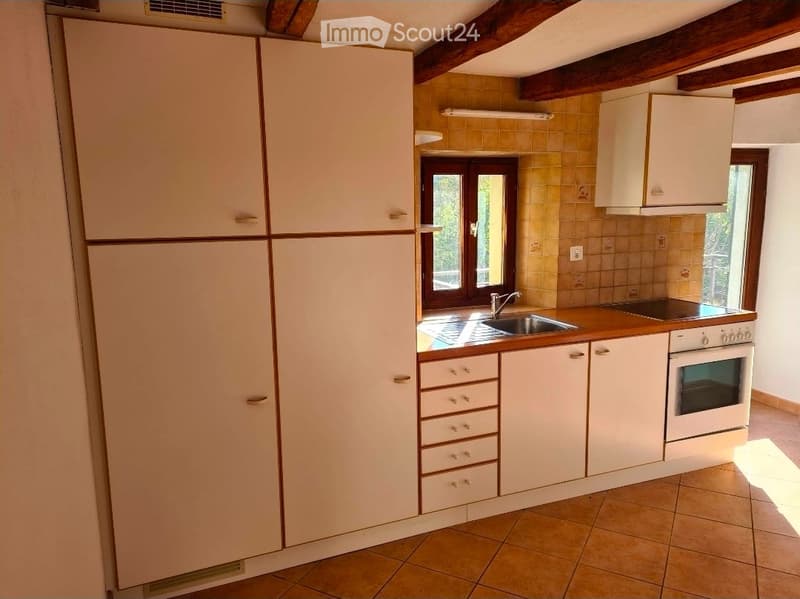 Affittasi appartamento con terrazza e giardino privato (3)
