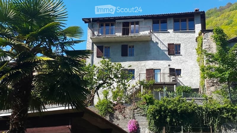 Affittasi appartamento con terrazza e giardino privato (5)